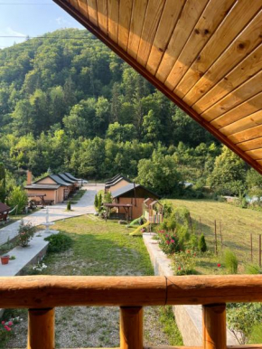 Casa Ardeleanului Piatra Neamţ